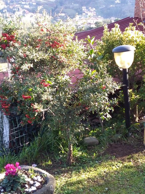 ベヴェリーノ Casa Lillyヴィラ エクステリア 写真