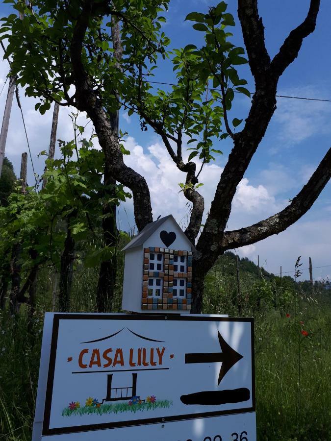 ベヴェリーノ Casa Lillyヴィラ エクステリア 写真